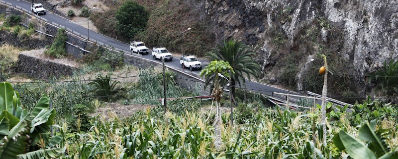 Jeeps 4X4