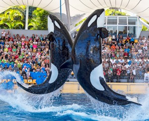 Loro Parque