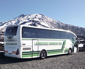 Servicio de Transfer